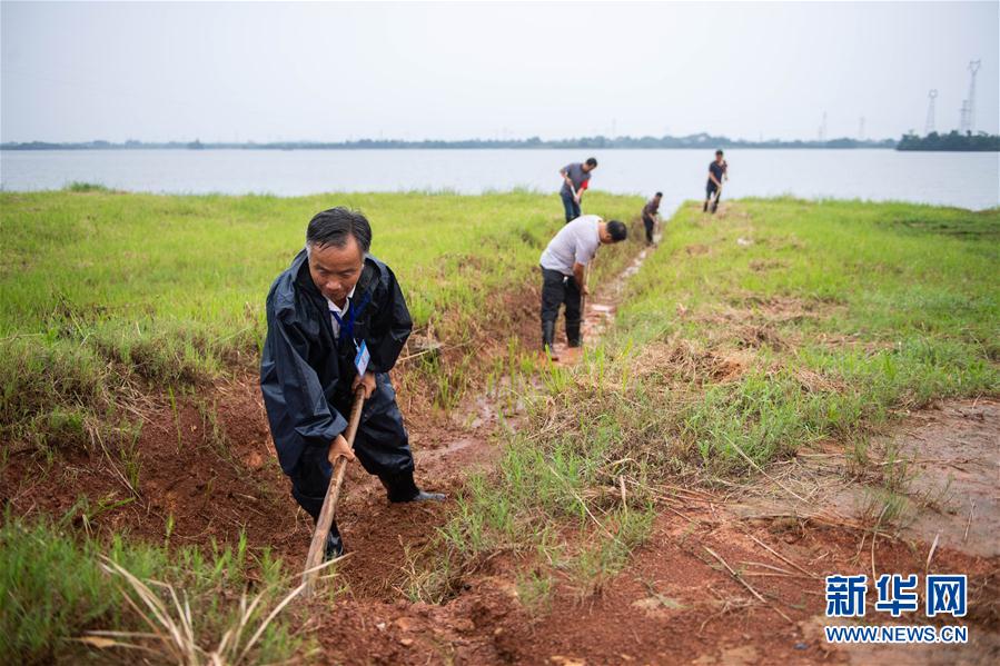 （防汛抗洪&middot;圖文互動(dòng)）（9）鏖戰(zhàn)南洞庭