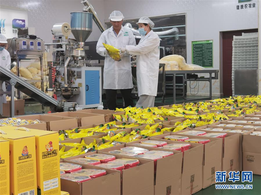 （決戰(zhàn)決勝脫貧攻堅(jiān)&middot;圖文互動(dòng)）玉米&ldquo;變形&rdquo;記