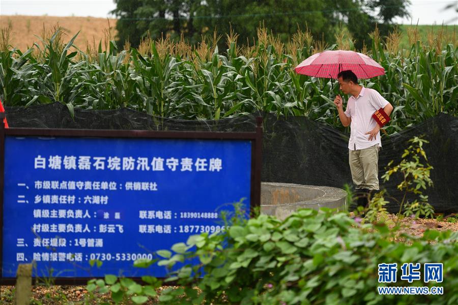 （防汛抗洪&middot;圖文互動(dòng)）（1）&ldquo;險(xiǎn)情不可怕，可怕的是不能及時(shí)發(fā)現(xiàn)險(xiǎn)情&rdquo;&mdash;&mdash;洞庭湖巡堤查險(xiǎn)現(xiàn)場(chǎng)直擊