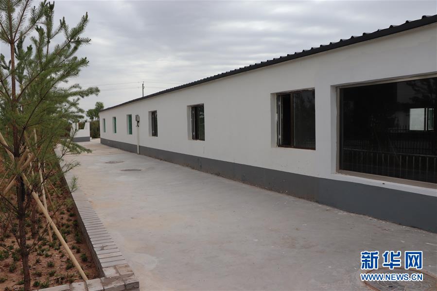 （鄉(xiāng)村振興&middot;圖文互動(dòng)）（2）內(nèi)蒙古伊金霍洛旗：自家生豬基地養(yǎng) 環(huán)境好來收入旺