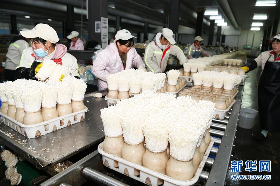 （走向我們的小康生活&middot;圖文互動(dòng)）（2）烏蒙&ldquo;同心&rdquo;戰(zhàn)貧困