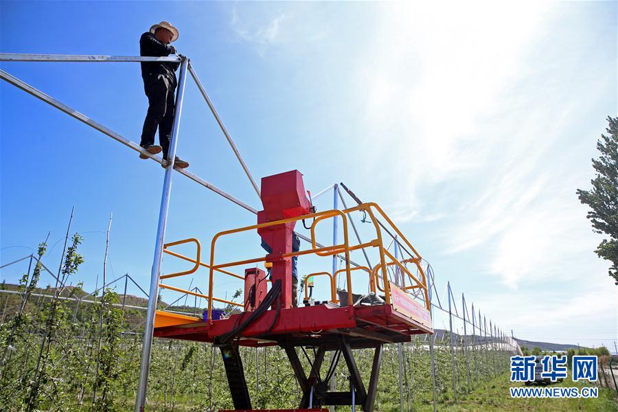 (走向我們的小康生活·圖文互動(dòng))(2)西海固換了新模樣