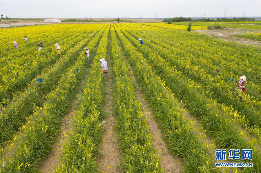 （新華全媒頭條&middot;走向我們的小康生活&middot;圖文互動）（11）23萬人的命運轉折&mdash;&mdash;我國最大易地生態(tài)移民安置區(qū)的脫貧密碼