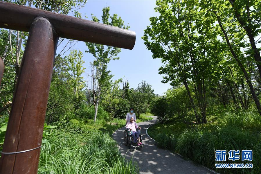 （新華全媒頭條&middot;圖文互動(dòng)）（4）老胡同里的新生活&mdash;&mdash;北京老城探訪(fǎng)記