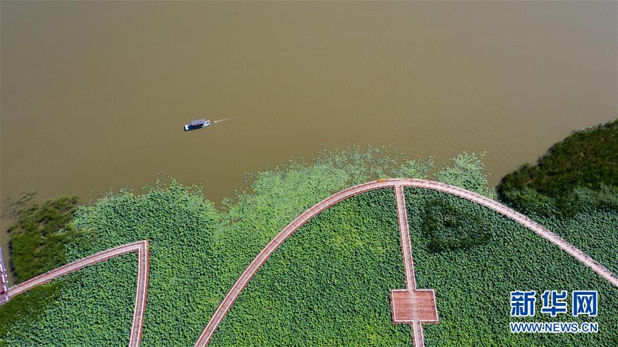 （在習(xí)近平新時(shí)代中國(guó)特色社會(huì)主義思想指引下&mdash;&mdash;新時(shí)代新作為新篇章&middot;習(xí)近平總書(shū)記關(guān)切事&middot;圖文互動(dòng)）（8）綠色映底蘊(yùn)，山水見(jiàn)初心&mdash;&mdash;生態(tài)優(yōu)先、綠色發(fā)展持續(xù)造福群眾美好生活