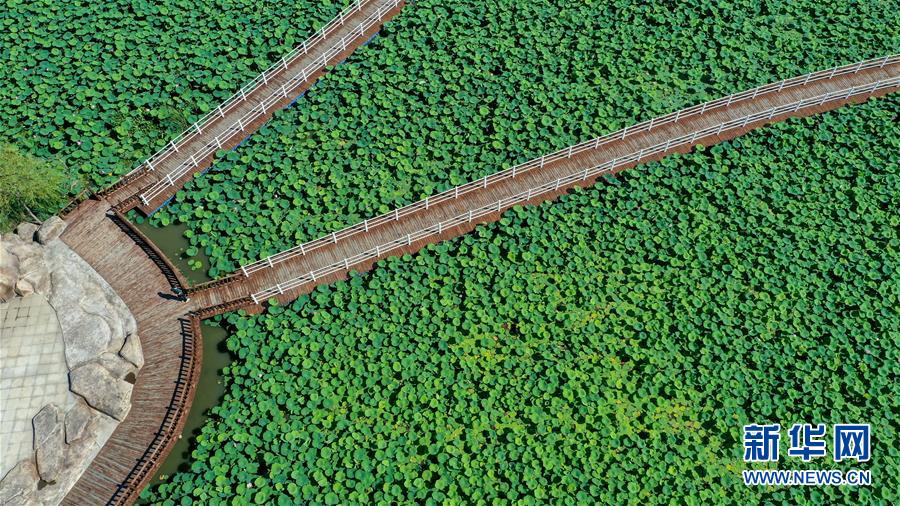 （在習(xí)近平新時(shí)代中國(guó)特色社會(huì)主義思想指引下&mdash;&mdash;新時(shí)代新作為新篇章&middot;習(xí)近平總書(shū)記關(guān)切事&middot;圖文互動(dòng)）（9）綠色映底蘊(yùn)，山水見(jiàn)初心&mdash;&mdash;生態(tài)優(yōu)先、綠色發(fā)展持續(xù)造福群眾美好生活