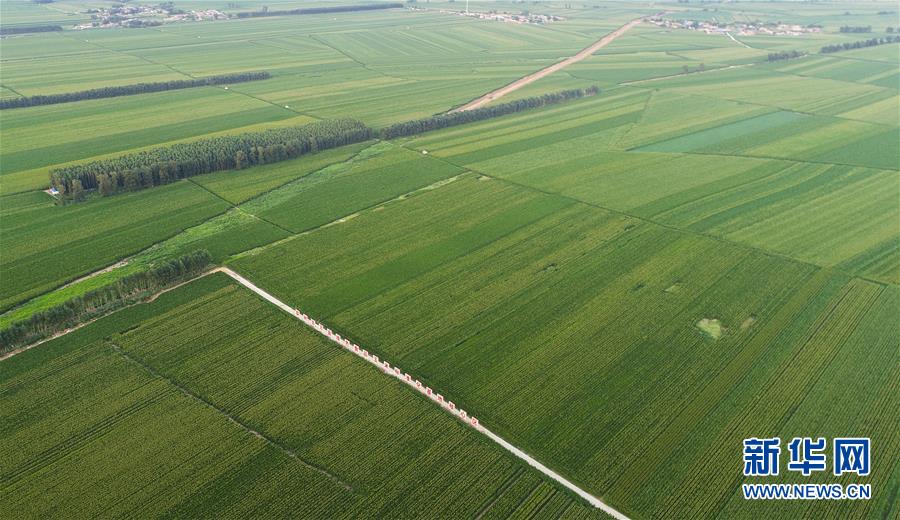 （在習(xí)近平新時(shí)代中國(guó)特色社會(huì)主義思想指引下&mdash;&mdash;新時(shí)代新作為新篇章&middot;習(xí)近平總書記關(guān)切事&middot;圖文互動(dòng)）（2）為黑土加&ldquo;油&rdquo;&mdash;&mdash;&ldquo;耕地中的大熊貓&rdquo;，我們這樣保護(hù)