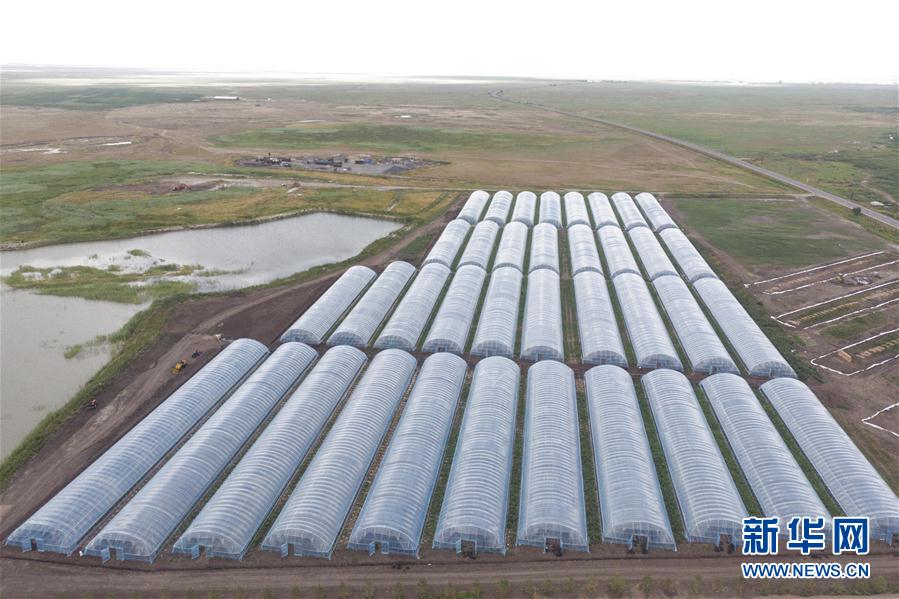 （決戰(zhàn)決勝脫貧攻堅(jiān)&middot;圖文互動(dòng)）（2）幸福村的幸福&ldquo;菜&rdquo;事