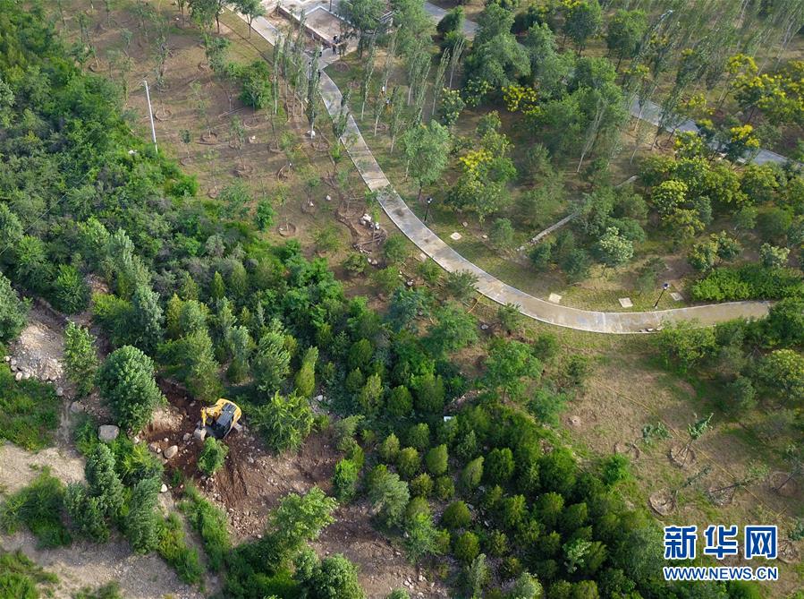 （新華全媒頭條&middot;圖文互動）（15）扎實推進籌辦，不負青春韶華&mdash;&mdash;北京冬奧會籌辦備戰(zhàn)克服疫情影響平穩(wěn)推進