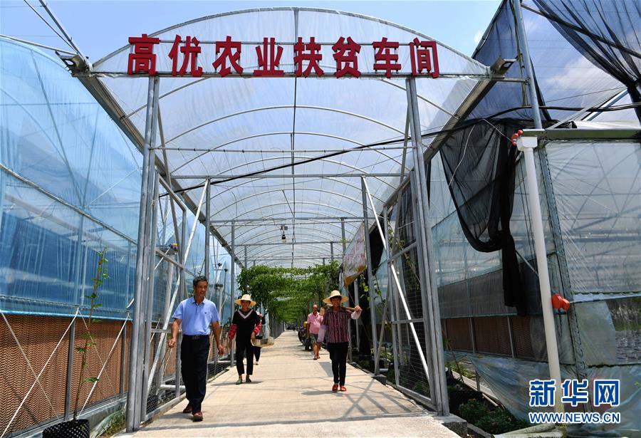 （走向我們的小康生活&middot;圖文互動(dòng)）（3）&ldquo;紅土地&rdquo;越來(lái)越紅火&mdash;&mdash;福建老區(qū)蘇區(qū)發(fā)展新貌掠影