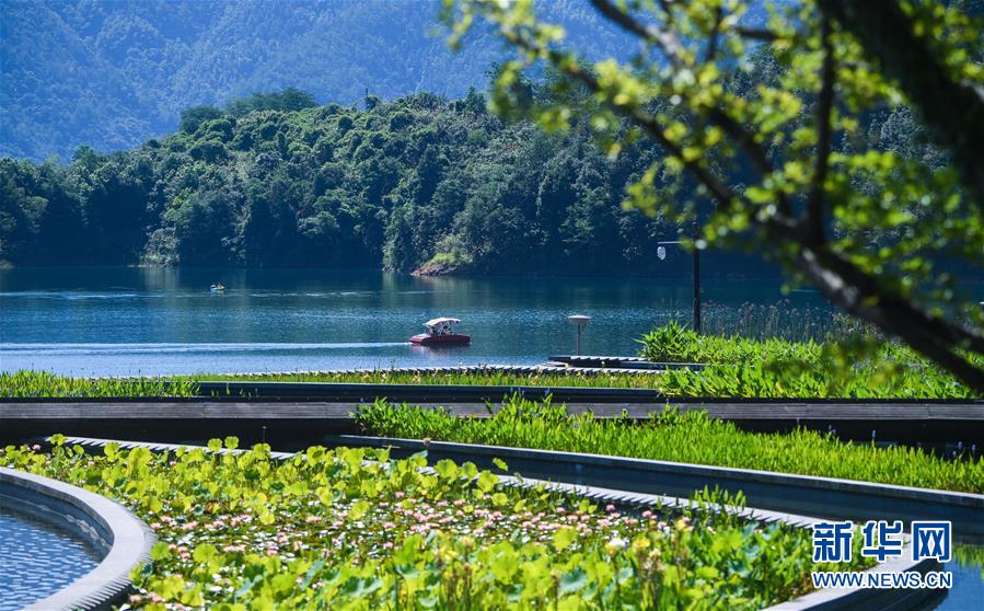 （新華全媒頭條&middot;圖文互動）（8）生態(tài)文明之光照耀美麗中國&mdash;&mdash;寫在綠水青山就是金山銀山理念提出15周年之際