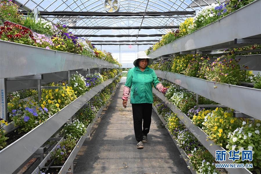 （新華全媒頭條&middot;圖文互動）（2）來自北京的科技扶貧答卷