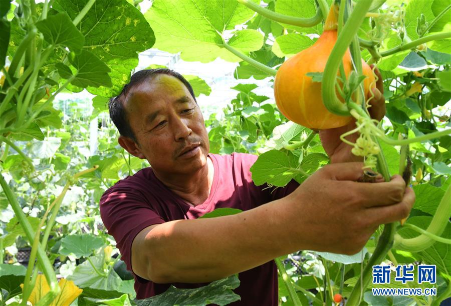 （新華全媒頭條&middot;圖文互動）（3）來自北京的科技扶貧答卷