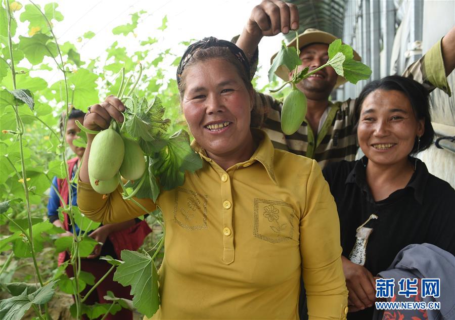 （新華全媒頭條&middot;圖文互動）（5）來自北京的科技扶貧答卷