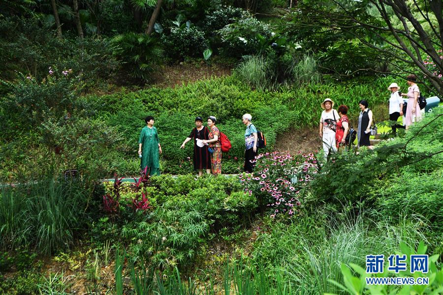 (走向我們的小康生活·圖文互動)(2)從“靠山吃山”到“養(yǎng)山富山”——重慶縉云山的“綠色辯證法”