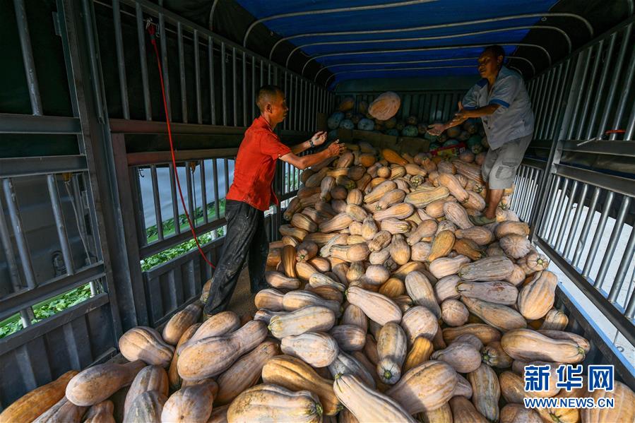 （決戰(zhàn)決勝脫貧攻堅&middot;圖文互動）（7）&ldquo;草鞋村&rdquo;的致富經(jīng)