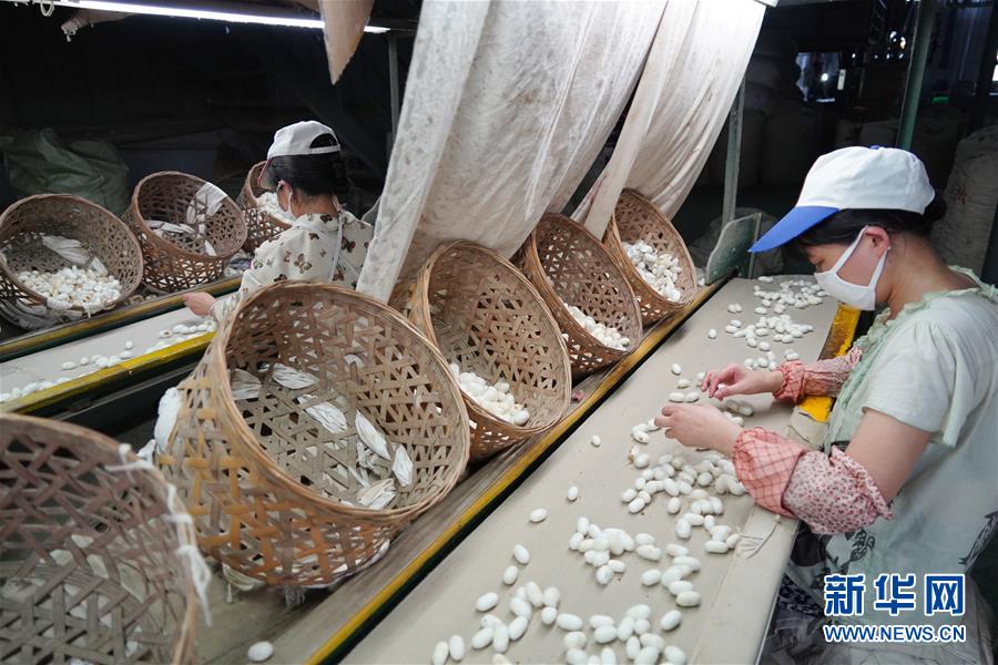 （走向我們的小康生活&middot;圖文互動）（1）綠了青山，紅了日子&mdash;&mdash;秦巴山區(qū)群眾繪出小康&ldquo;調色板&rdquo;