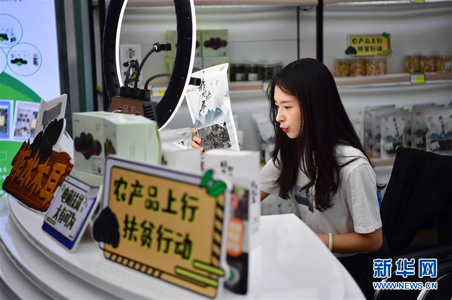 （走向我們的小康生活&middot;圖文互動）（3）綠了青山，紅了日子&mdash;&mdash;秦巴山區(qū)群眾繪出小康&ldquo;調色板&rdquo;