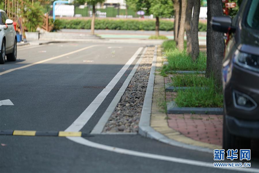 (圖文互動(dòng))(2)“綠灰白”破解城市內(nèi)澇之“囧”