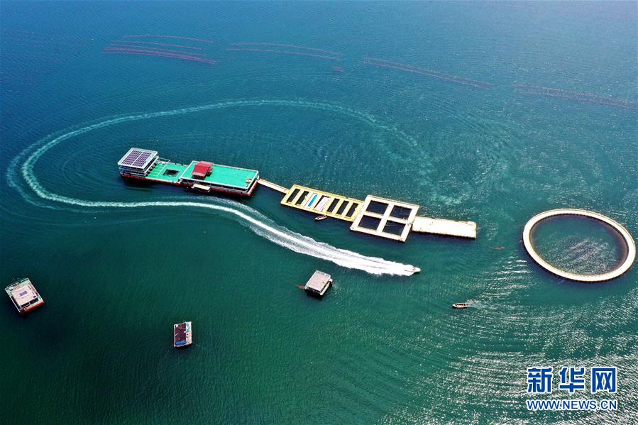 （圖文互動）（2）把&ldquo;試驗田&rdquo;種成&ldquo;高產(chǎn)田&rdquo;&mdash;&mdash;記中國（山東）自由貿(mào)易試驗區(qū)設立一周年