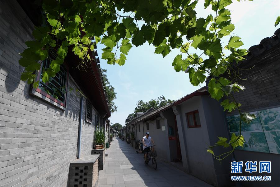 （走向我們的小康生活&middot;圖文互動）（1）小橋、流水、書香、人家&mdash;&mdash;老北京胡同里的恬靜棲居