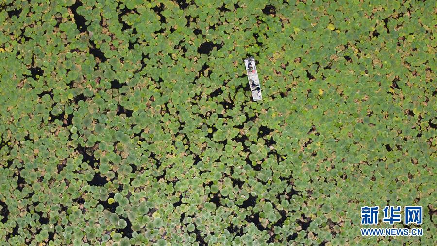 （在習(xí)近平新時代中國特色社會主義思想指引下&mdash;&mdash;新時代新作為新篇章&middot;習(xí)近平總書記關(guān)切事&middot;圖文互動）（12）一切為了人民&mdash;&mdash;寫在全國防汛救災(zāi)取得階段性重大勝利之時