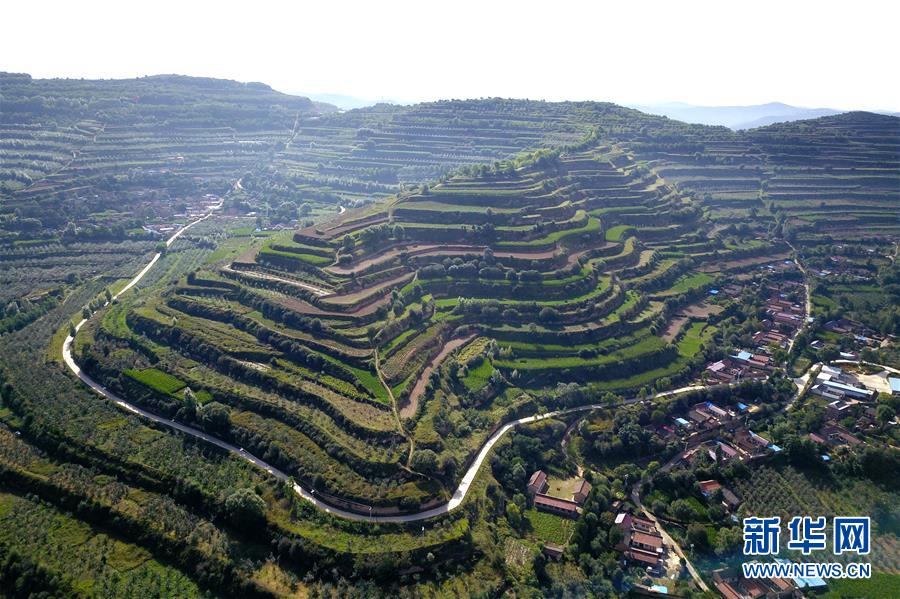  （走向我們的小康生活&middot;圖文互動）（1）在那碧綠的階梯上&mdash;&mdash;&ldquo;梯田之鄉(xiāng)&rdquo;甘肅莊浪縣的&ldquo;三級跳&rdquo;