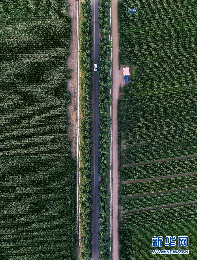 （新華全媒頭條&middot;圖文互動(dòng)）（3）為現(xiàn)代農(nóng)業(yè)探新路&mdash;&mdash;來(lái)自吉林梨樹的田野報(bào)告