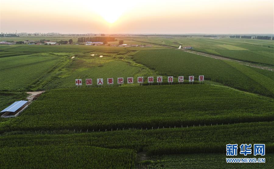 （新華全媒頭條&middot;圖文互動(dòng)）（6）為現(xiàn)代農(nóng)業(yè)探新路&mdash;&mdash;來(lái)自吉林梨樹的田野報(bào)告