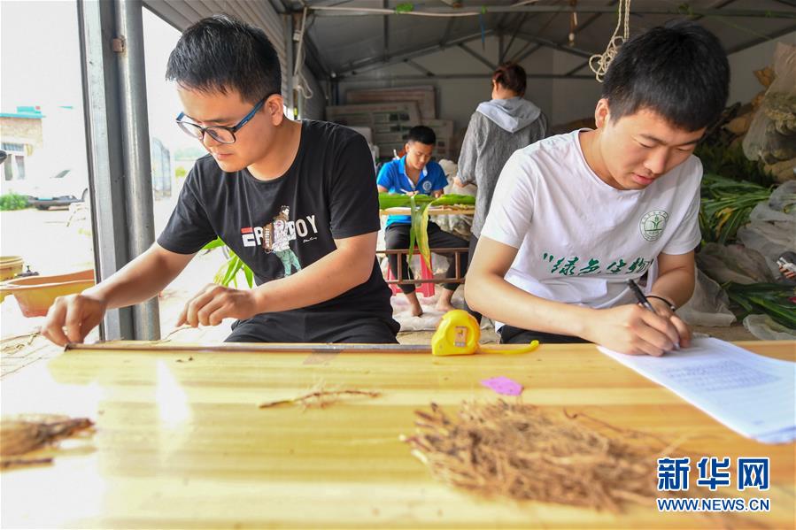 （新華全媒頭條&middot;圖文互動(dòng)）（8）為現(xiàn)代農(nóng)業(yè)探新路&mdash;&mdash;來(lái)自吉林梨樹的田野報(bào)告