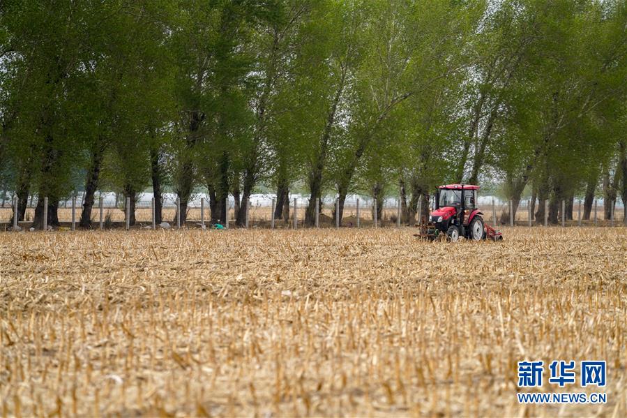 （新華全媒頭條&middot;圖文互動(dòng)）（9）為現(xiàn)代農(nóng)業(yè)探新路&mdash;&mdash;來(lái)自吉林梨樹的田野報(bào)告