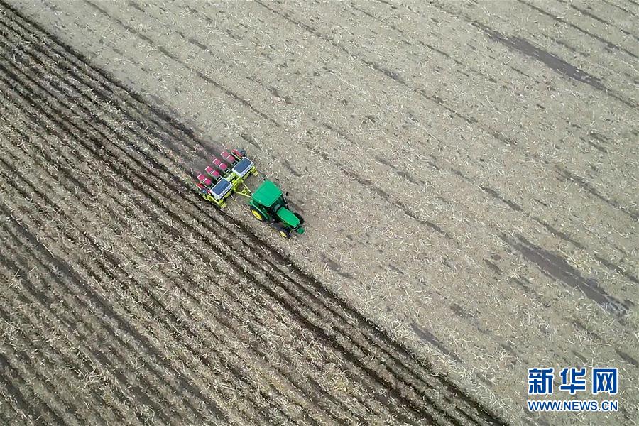 （新華全媒頭條&middot;圖文互動(dòng)）（11）為現(xiàn)代農(nóng)業(yè)探新路&mdash;&mdash;來(lái)自吉林梨樹的田野報(bào)告