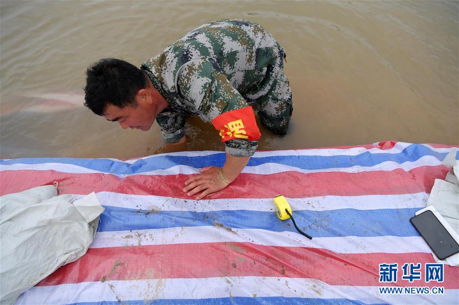 （在習近平新時代中國特色社會主義思想指引下&mdash;&mdash;新時代新作為新篇章&middot;習近平總書記關(guān)切事&middot;圖文互動）（1）洪峰浪尖，鮮紅的黨旗高高飄揚&mdash;&mdash;記防汛抗洪一線的共產(chǎn)黨員