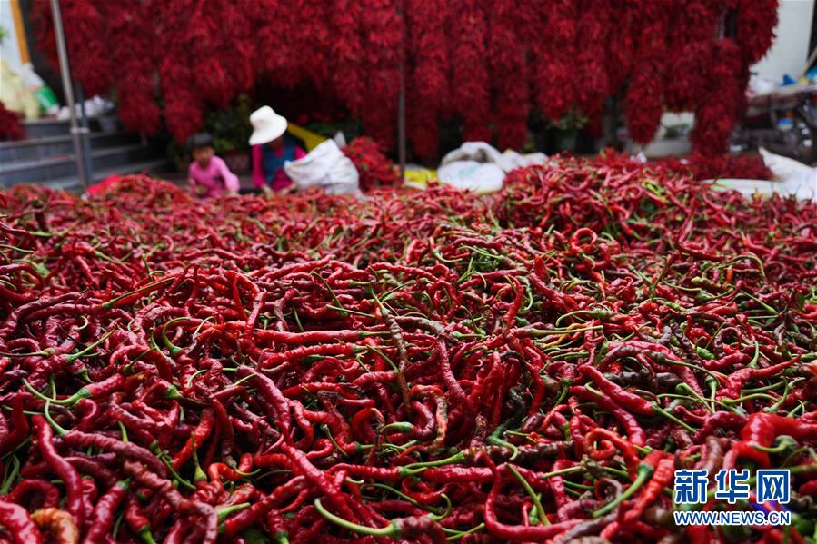 （走向我們的小康生活&middot;決戰(zhàn)決勝脫貧攻堅(jiān)&middot;圖文互動(dòng)）（7）甘青交界處的跨越&mdash;&mdash;保安族、撒拉族的脫貧故事 