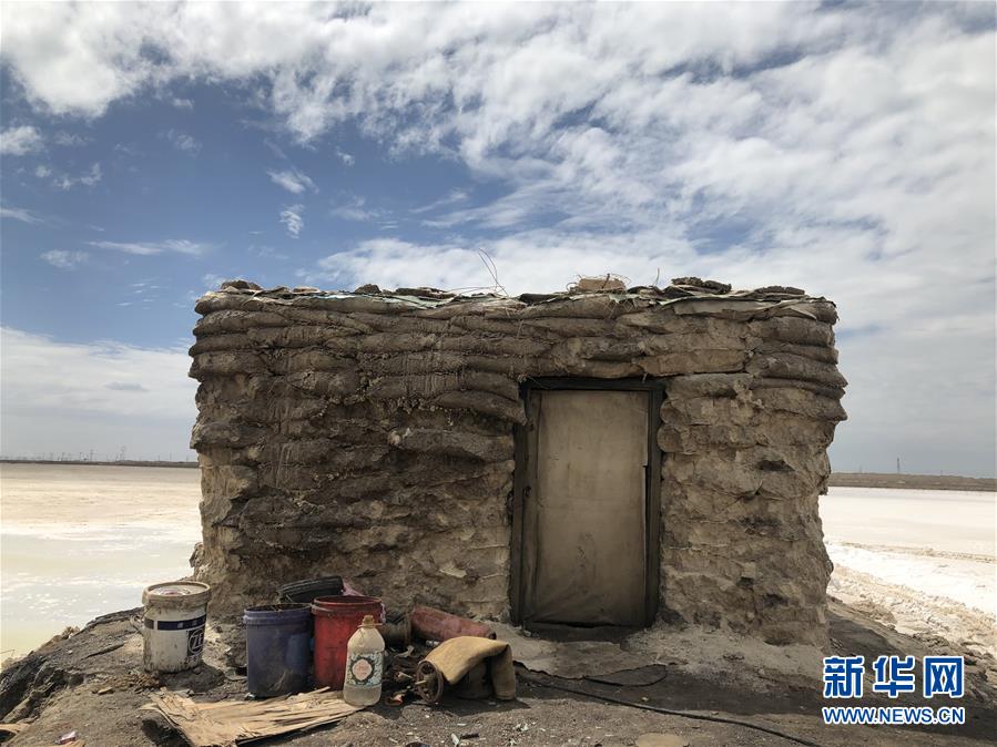 (走向我們的小康生活·決戰(zhàn)決勝脫貧攻堅·圖文互動)(3)盆地里的生長