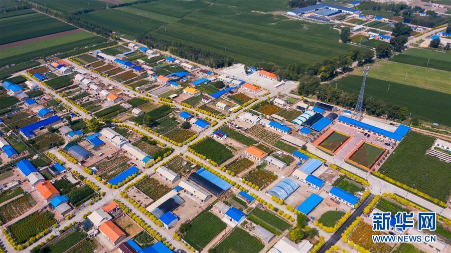 （新華全媒頭條&middot;走向我們的小康生活&middot;圖文互動(dòng)）（1）黑土地上是我家&mdash;&mdash;在吉林，一瞥中國(guó)東北鄉(xiāng)村美麗未來