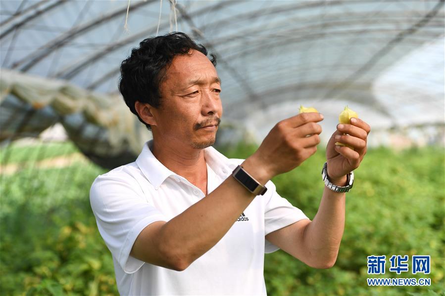 （新華全媒頭條&middot;走向我們的小康生活&middot;圖文互動(dòng)）（7）黑土地上是我家&mdash;&mdash;在吉林，一瞥中國(guó)東北鄉(xiāng)村美麗未來