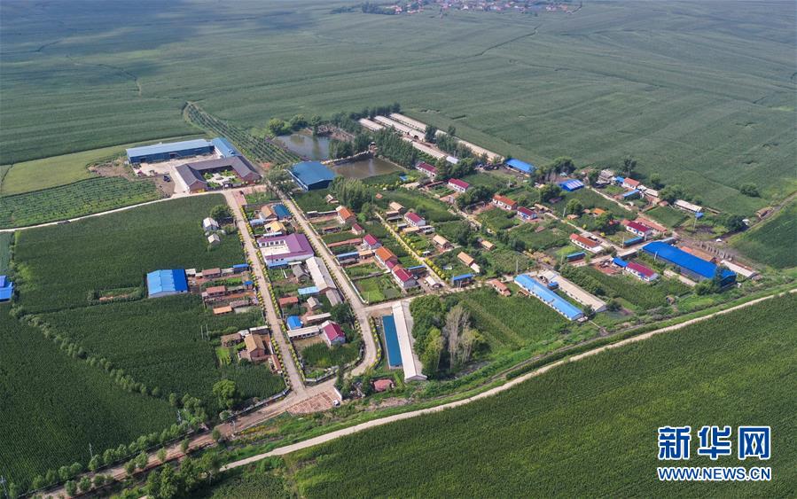 （新華全媒頭條&middot;走向我們的小康生活&middot;圖文互動(dòng)）（12）黑土地上是我家&mdash;&mdash;在吉林，一瞥中國(guó)東北鄉(xiāng)村美麗未來