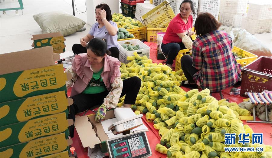 （決戰(zhàn)決勝脫貧攻堅&middot;圖文互動）（3）同飲一江水 攜手&ldquo;斬窮根&rdquo;&mdash;&mdash;深圳對口廣西河池、百色扶貧協(xié)作見聞