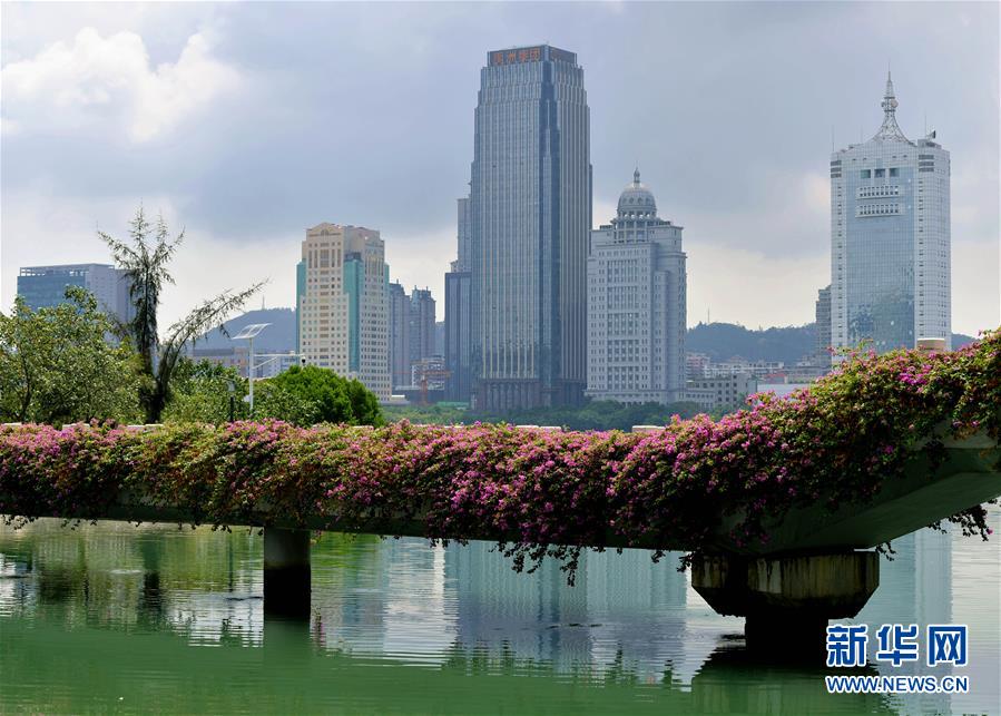 （特區(qū)40年?圖文互動）（7）廈庇五洲客 門納萬頃濤&mdash;&mdash;廈門經(jīng)濟特區(qū)40年發(fā)展紀(jì)實