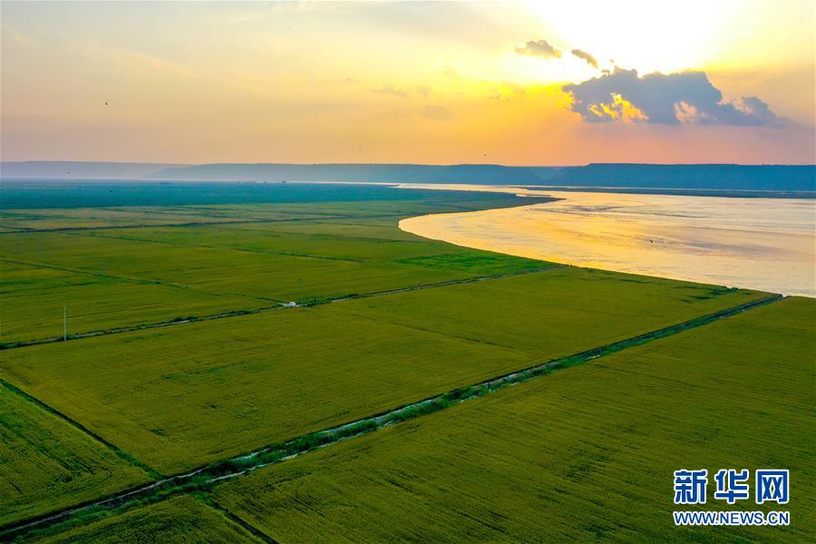 （新華全媒頭條&middot;圖文互動(dòng)）（4）天道酬勤的大地贊歌&mdash;&mdash;寫在第三個(gè)中國農(nóng)民豐收節(jié)之際