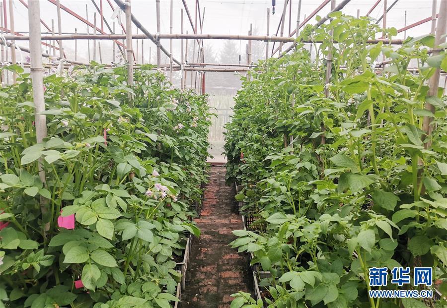 （新華全媒頭條&middot;圖文互動(dòng)）（8）天道酬勤的大地贊歌&mdash;&mdash;寫在第三個(gè)中國農(nóng)民豐收節(jié)之際