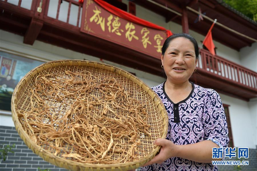 （新華全媒頭條&middot;走向我們的小康生活&middot;圖文互動）（4）神山村&ldquo;神奇&rdquo;何在？&mdash;&mdash;井岡山深處覓答案