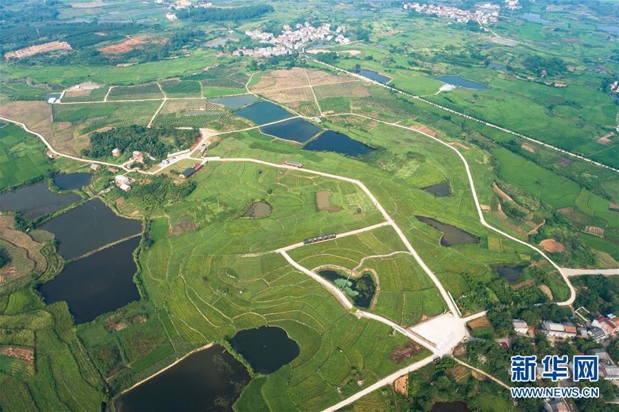 （新華全媒頭條&middot;走向我們的小康生活&middot;圖文互動）（1）特殊之年，荊楚大地書寫不平凡的答卷