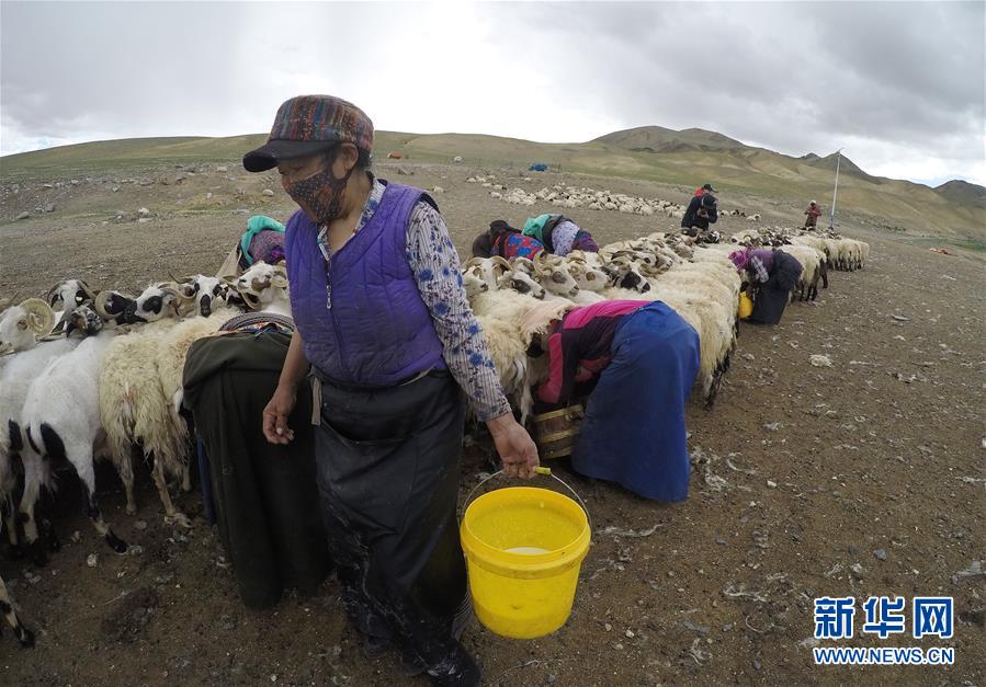 (新華全媒頭條·走向我們的小康生活·決戰(zhàn)決勝脫貧攻堅·圖文互動)(2)兩次遷徙“搬窮”記——海拔最高縣雙湖的“戰(zhàn)貧故事”