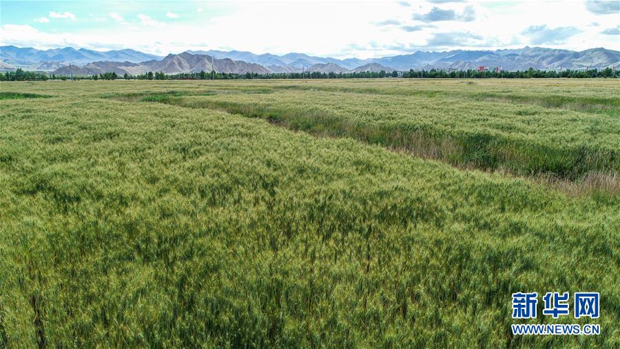 （走向我們的小康生活&middot;圖文互動(dòng)）（2）&ldquo;無(wú)煙村&rdquo;的新追求&mdash;&mdash;西藏新時(shí)代文明鄉(xiāng)村成長(zhǎng)記