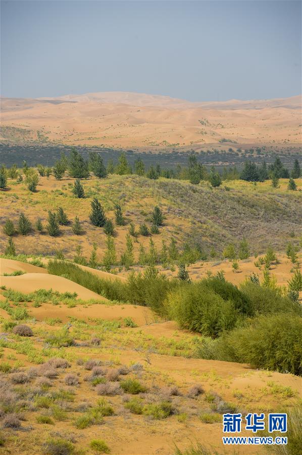 （在習(xí)近平新時代中國特色社會主義思想指引下&mdash;&mdash;新時代新作為新篇章&middot;習(xí)近平總書記關(guān)切事&middot;圖文互動）（6）綠意，在黃沙中鋪展&mdash;&mdash;我國防沙治沙紀(jì)實