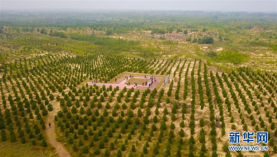 （在習(xí)近平新時代中國特色社會主義思想指引下&mdash;&mdash;新時代新作為新篇章&middot;習(xí)近平總書記關(guān)切事&middot;圖文互動）（2）綠意，在黃沙中鋪展&mdash;&mdash;我國防沙治沙紀(jì)實