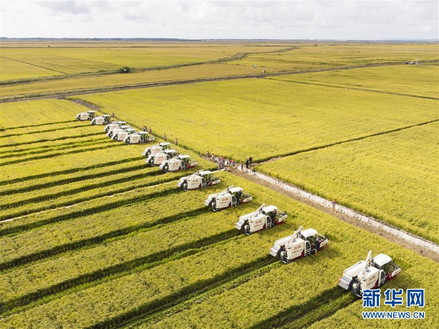 （新華全媒頭條&middot;圖文互動(dòng)）（15）奮斗結(jié)碩果，再寫新篇章&mdash;&mdash;寫在共和國71周年華誕之際