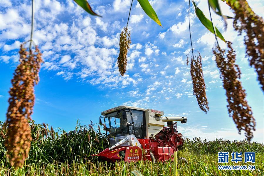 （新華全媒頭條&middot;圖文互動(dòng)）（17）奮斗結(jié)碩果，再寫新篇章&mdash;&mdash;寫在共和國71周年華誕之際